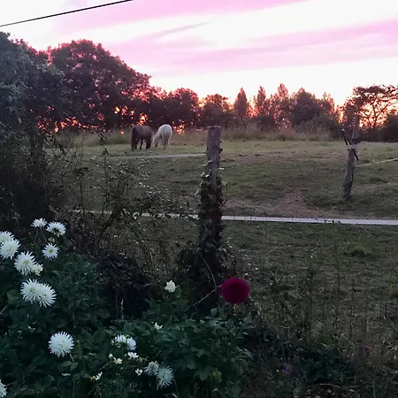 Longere En Bretagne * Nouvoitou